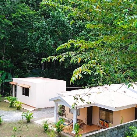 Alma Del Bosque Vacation Home And Apartments Кепос Екстериор снимка